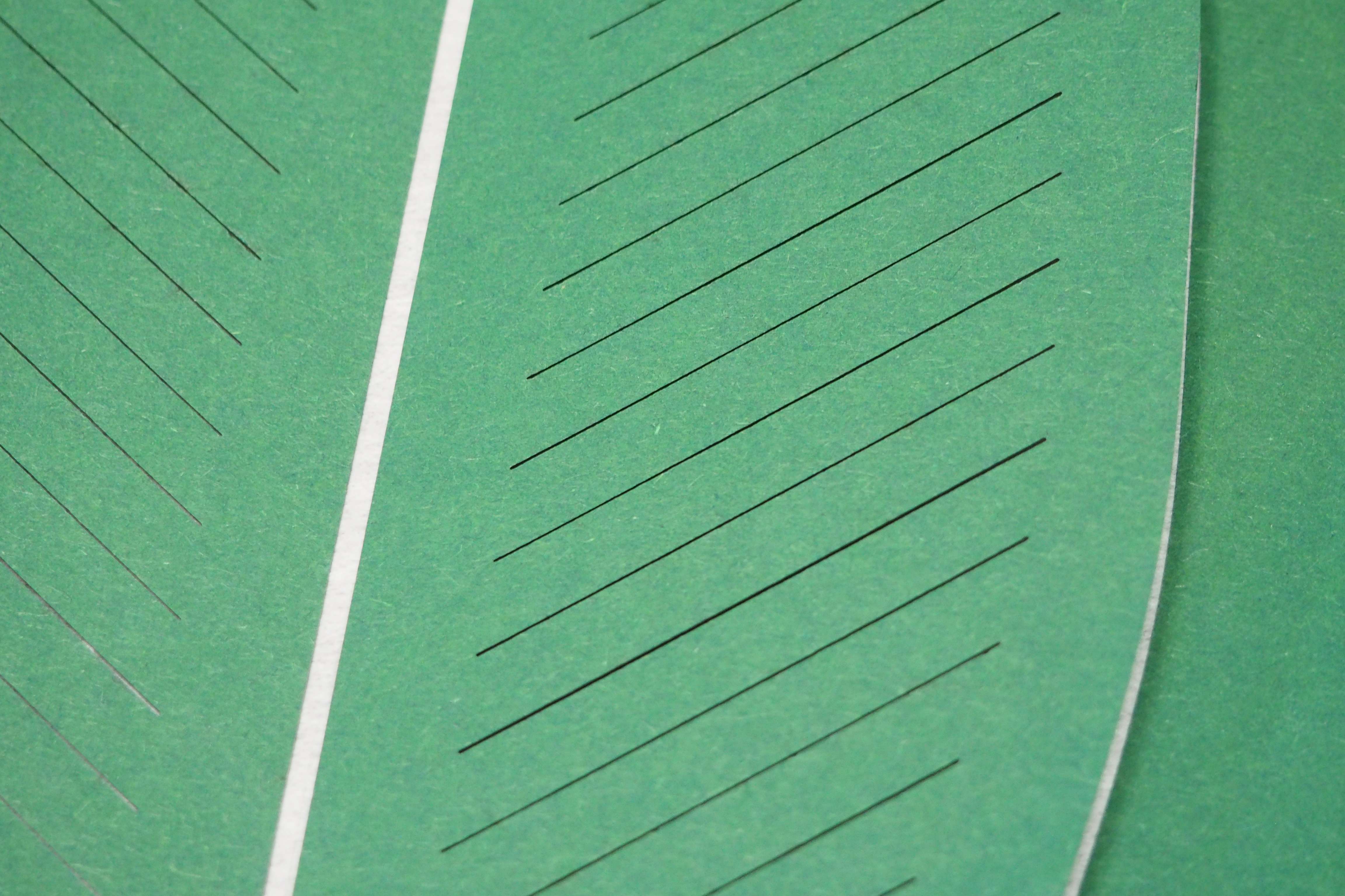 3D-Papierkunst „Green Leaves“ im 50x70cm Eichenholzrahmen