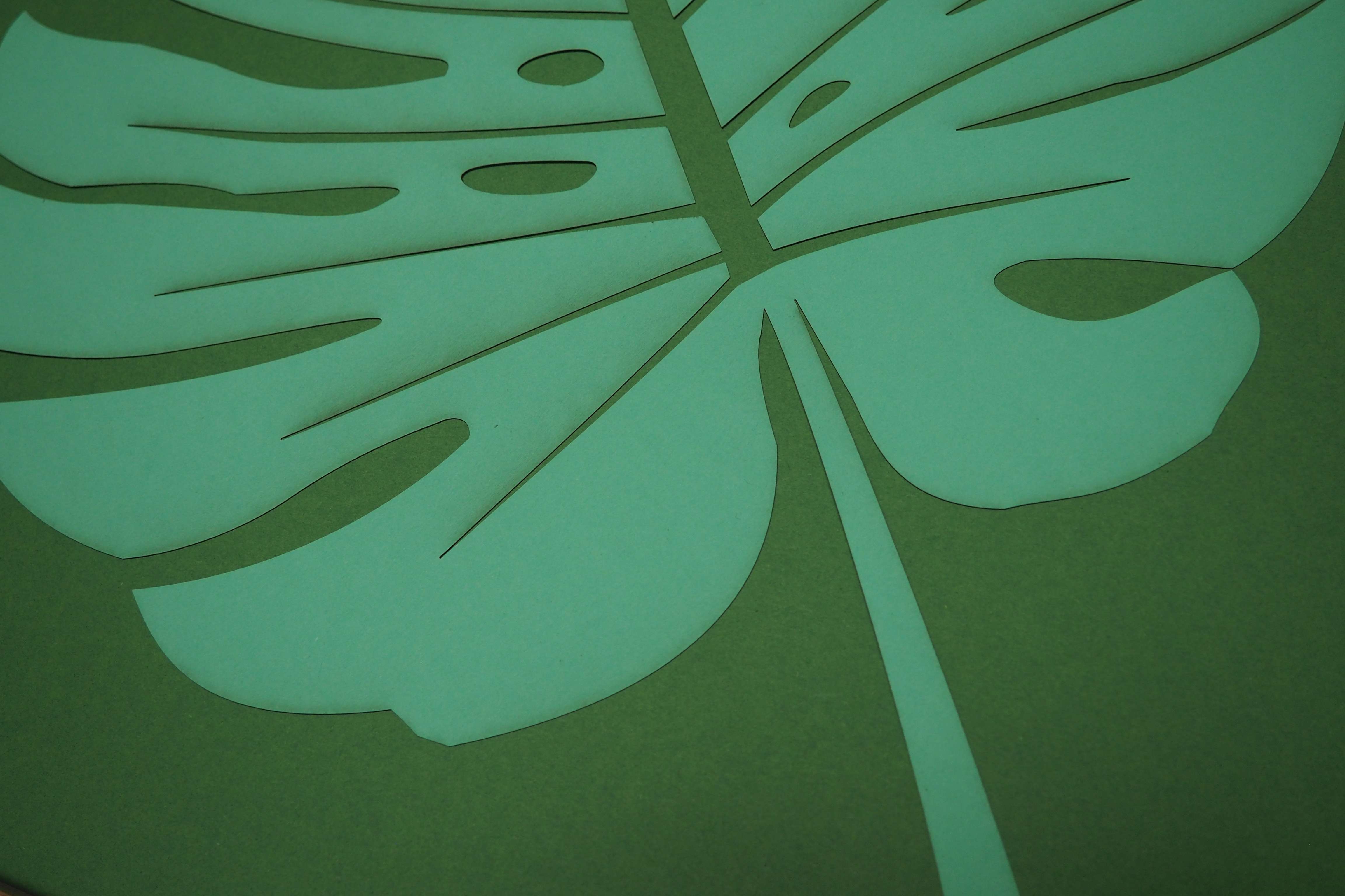 Papierkunst „Monstera Blatt“ im 50x50cm Eichenholzrahmen
