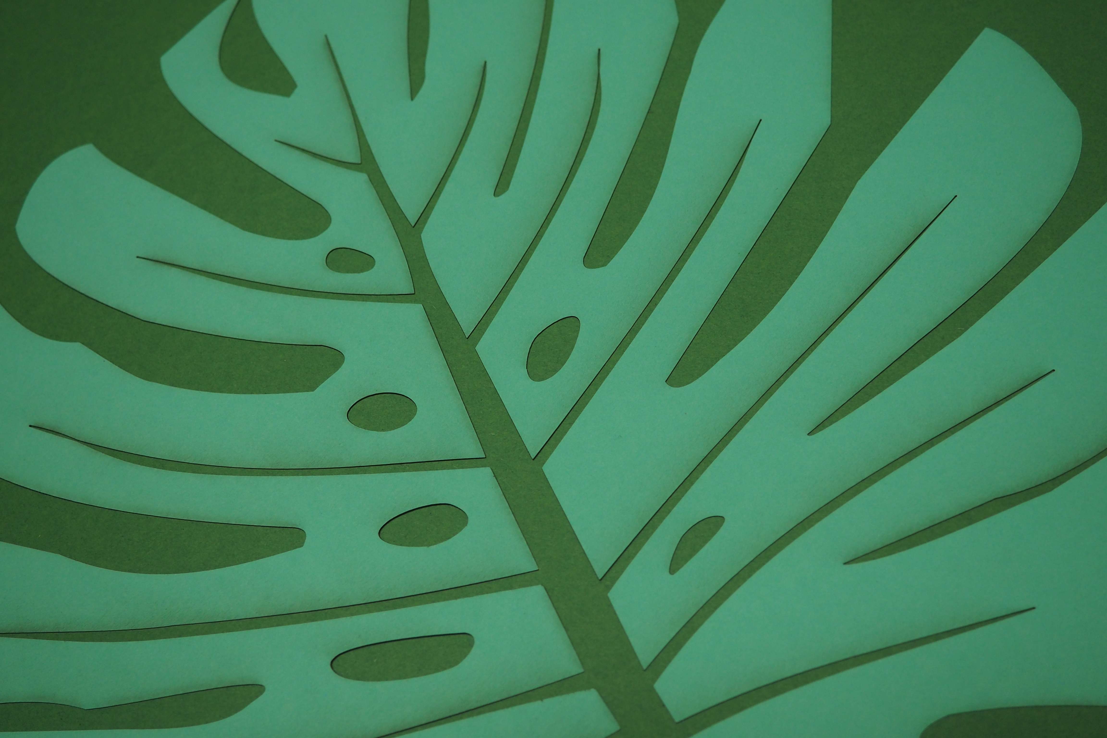 Papierkunst „Monstera Blatt“ im 50x50cm Eichenholzrahmen